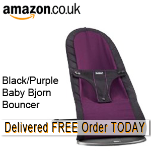 purple baby bouncer